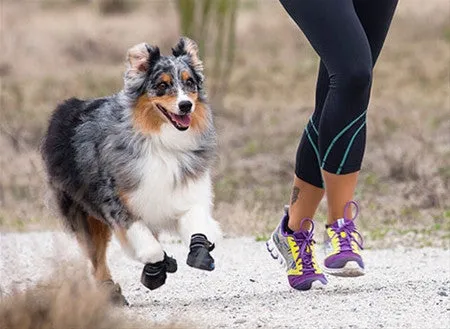 Anti-slip - Sport Boot - Dog Boot - Black