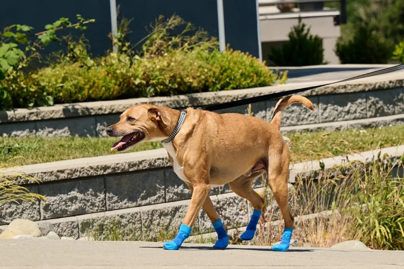 Anti-slip - Sport Boot - Dog Boot - Blue