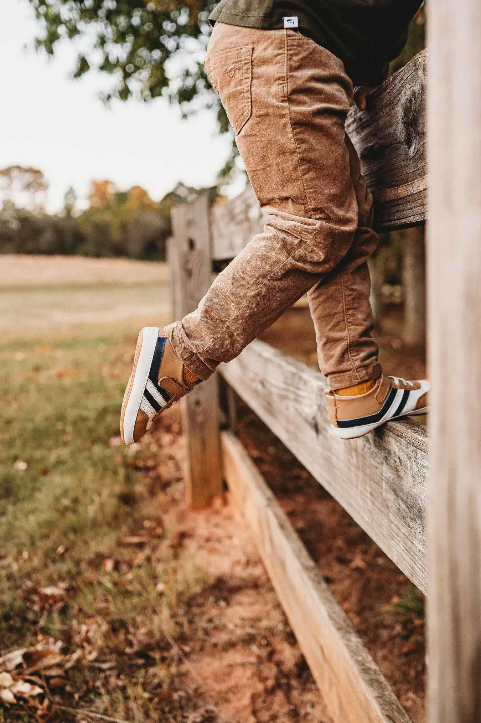 The Henry Low Top Shoe