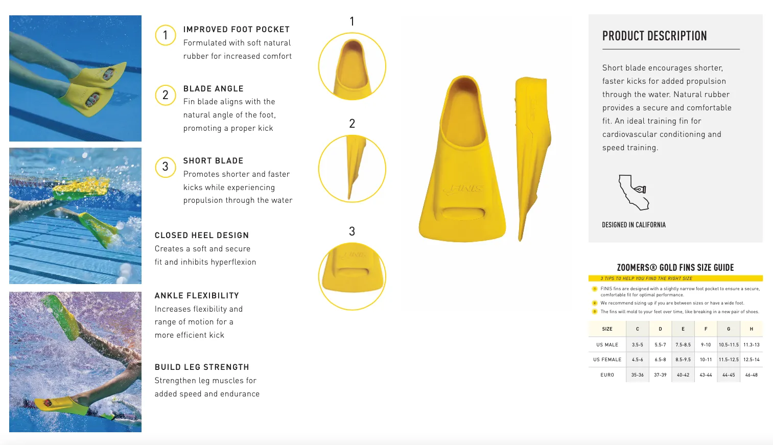 Zoomers Gold :: FINIS Australia